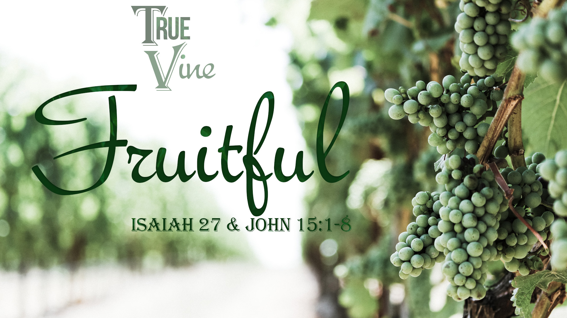True Vine, part 1: Fruitful 