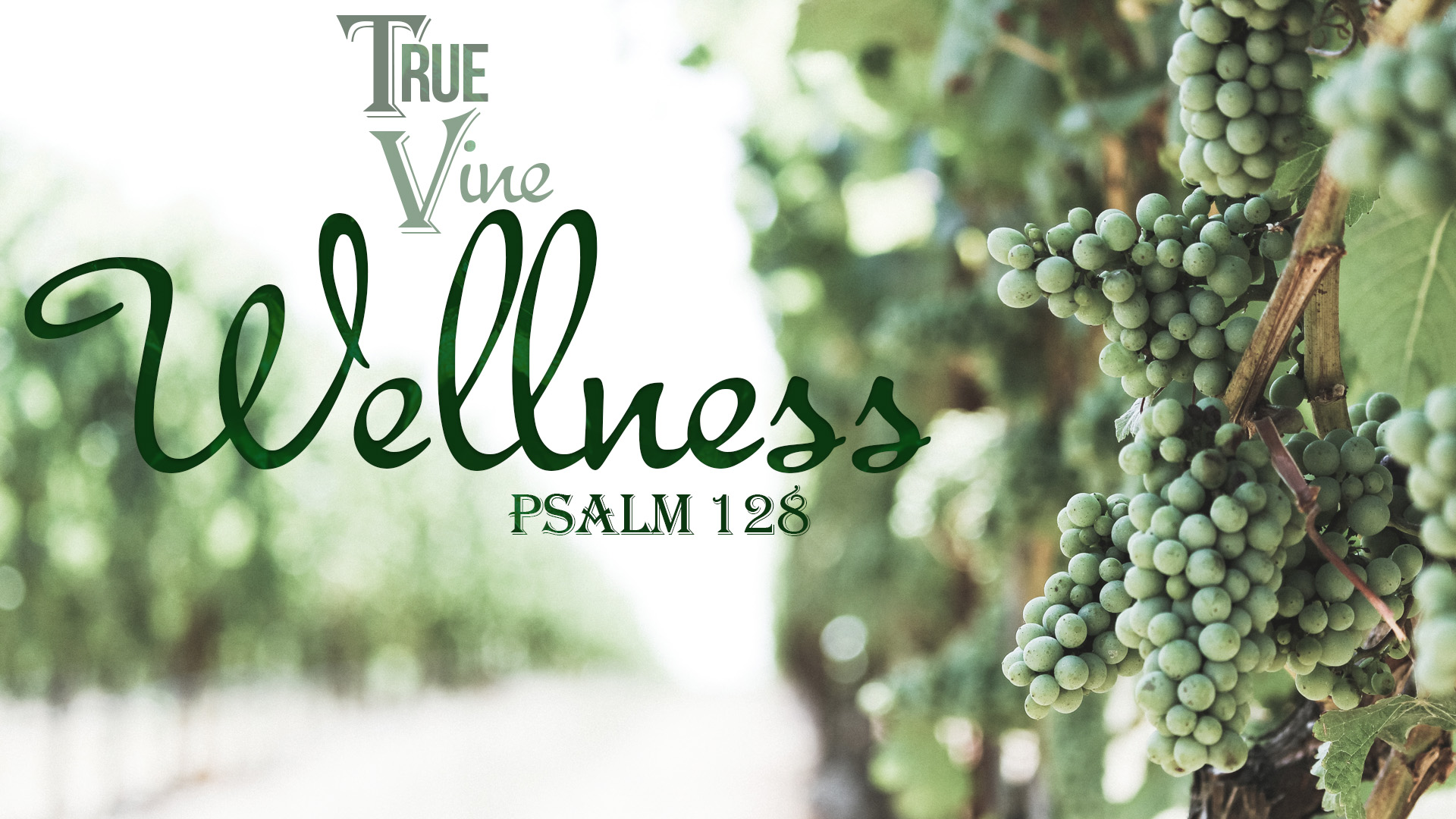 True Vine, part 2: Wellness  Image