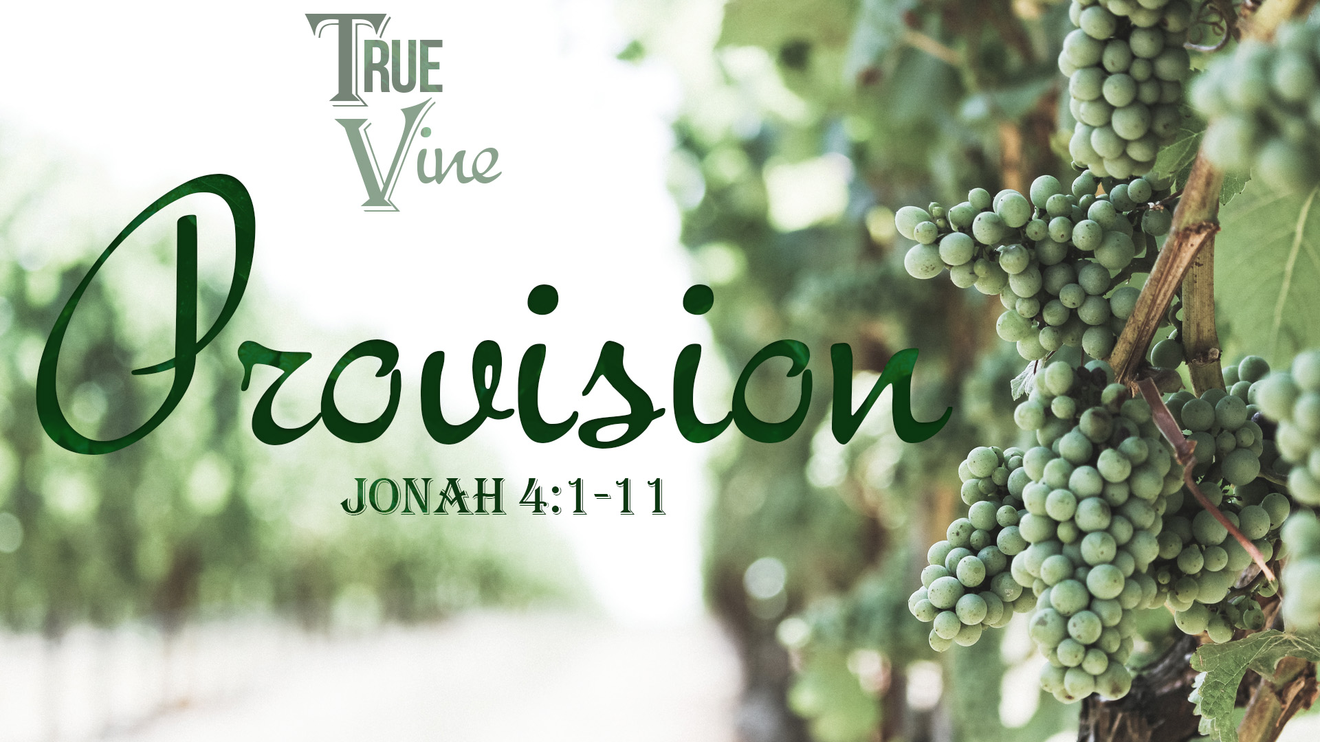 True Vine, part 5: Provision Image