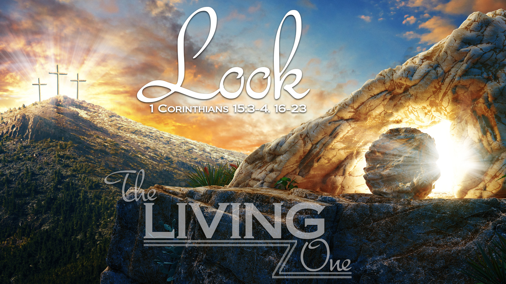 Living One, Part 2: Look Image