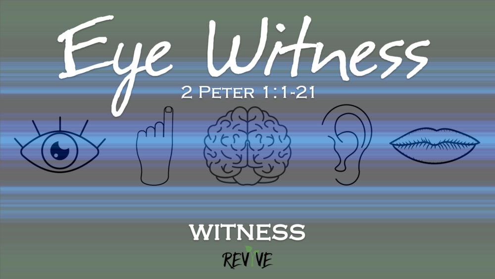 Witness, Part 4: Eye Witness Image