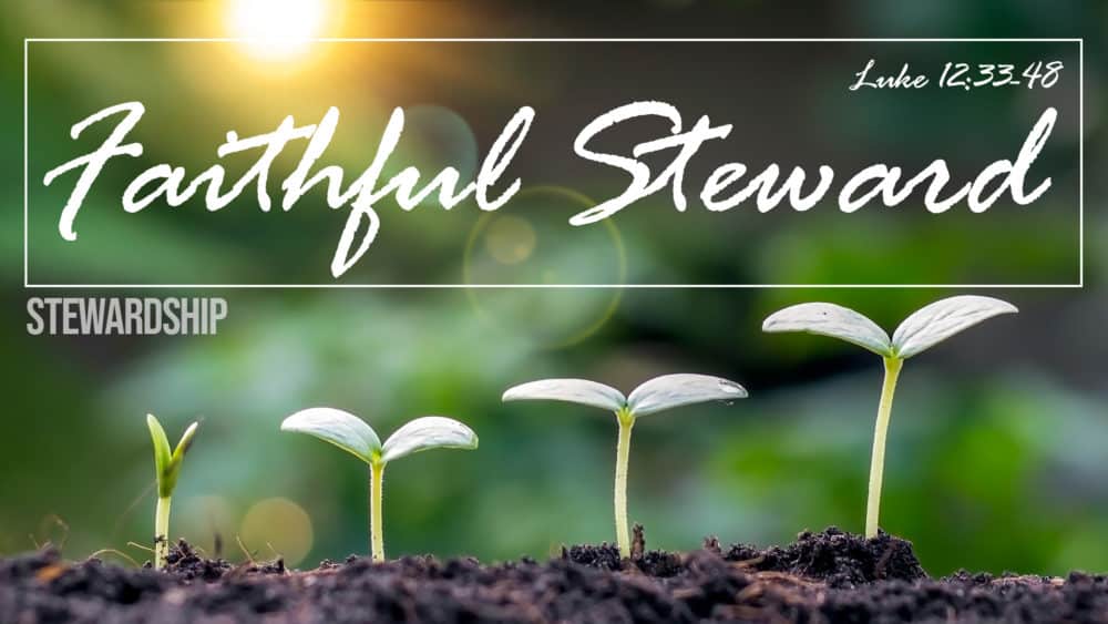 Stewardship, Part 2: Faithful Steward Image