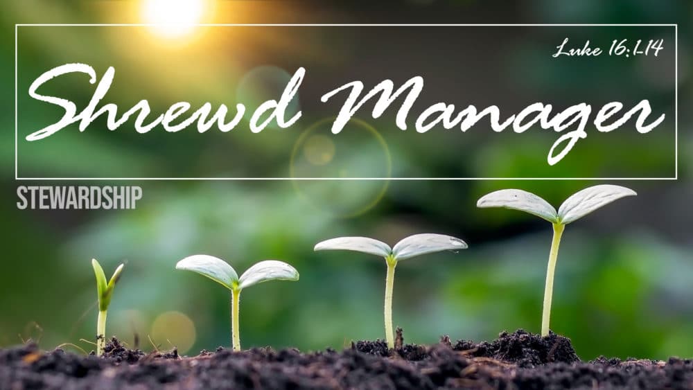 Stewardship, Part 3: Shrewd Manager