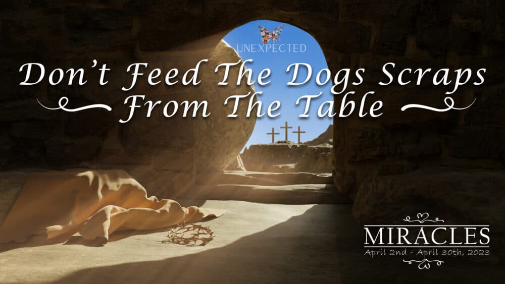 Miracles, Part 1: Don’t Feed the Dogs Scraps from the Table Image