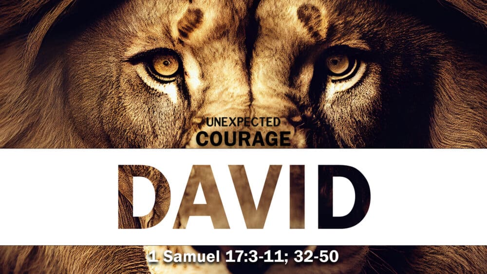 Courage, Part 4: David Image