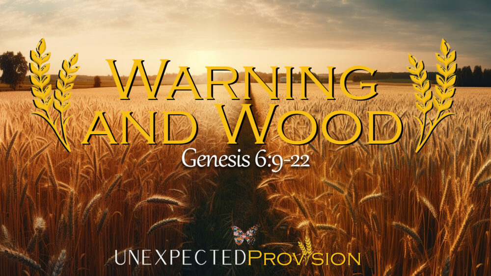 Provision, Part 4: Warning and Wood