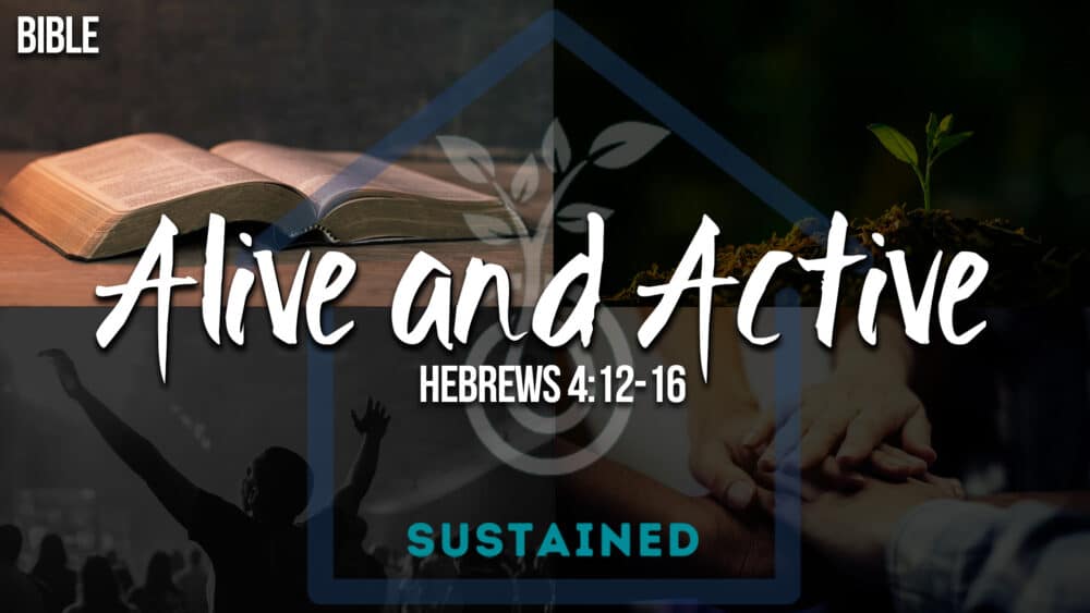 Sustained - Bible 4: Alive and Active Image