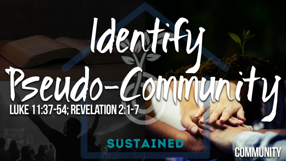 Sustained - Community 1: Identify Pseudo-Community Image