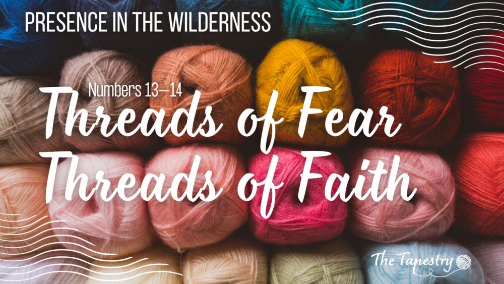 Presence in the Wilderness W2: Threads of Fear, Threads of Faith Image